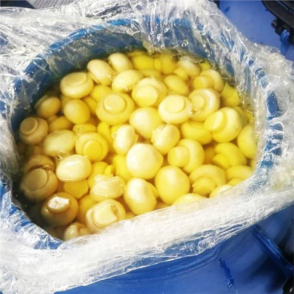 Muisiriún Caomhnaithe i SO2