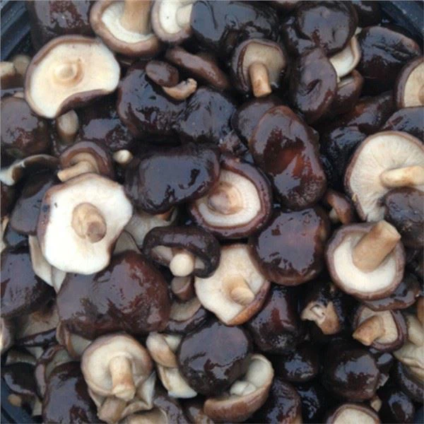 Conas a Chócaíonn tú Beacáin