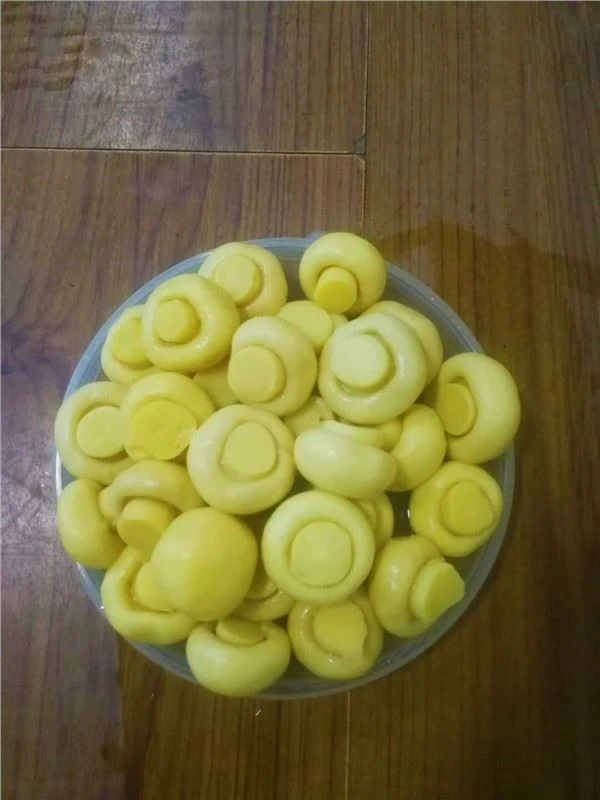 Champignons Muisiriún Iomlán i sáile